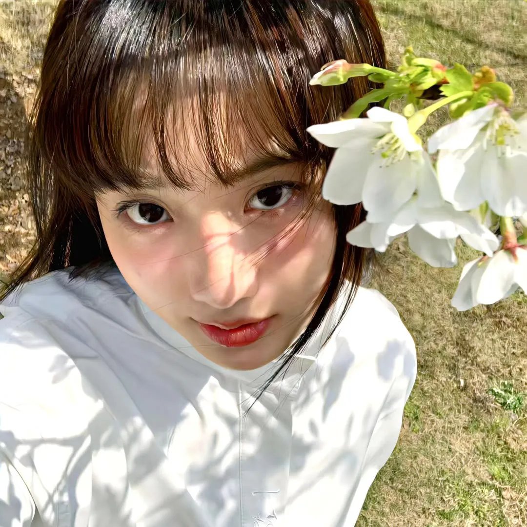 圣剑使的禁咒咏唱